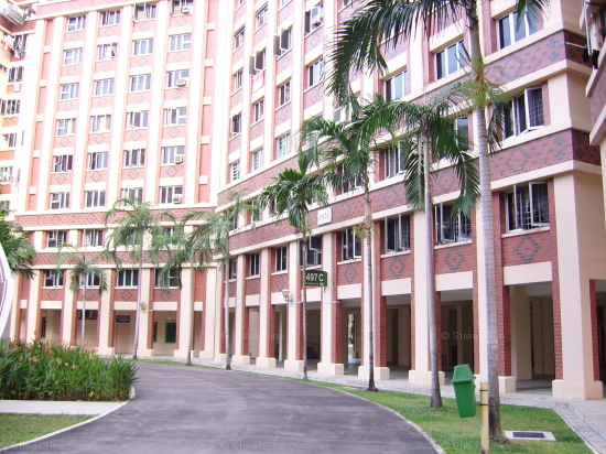 Blk 497C Tampines Street 45 (Tampines), HDB 4 Rooms #102022